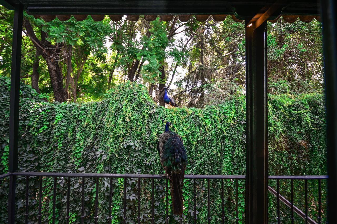 Hotel Legado Alcazar (Adults Only) Seville Exterior photo